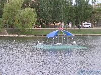Лебединое озеро в центре города